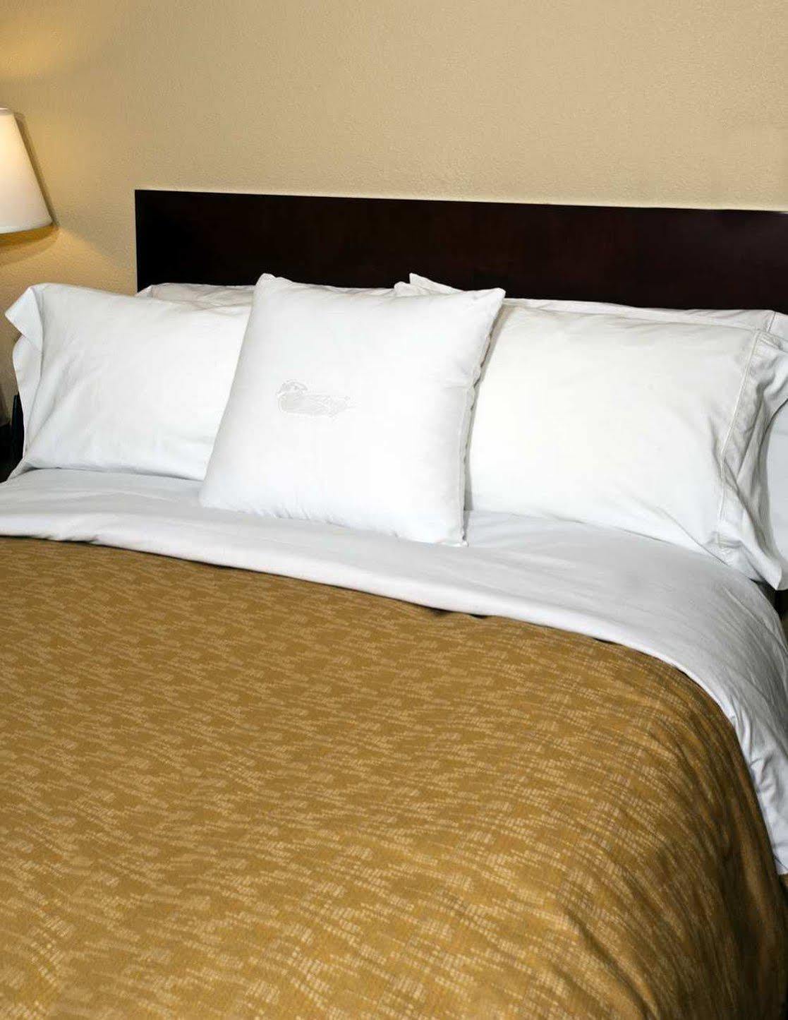 Homewood Suites Charlotte North Unc Research Esterno foto
